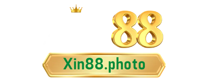 xin88.photo