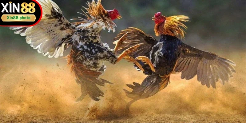 Bạn an tâm về thông tin của mình tại nền tảng