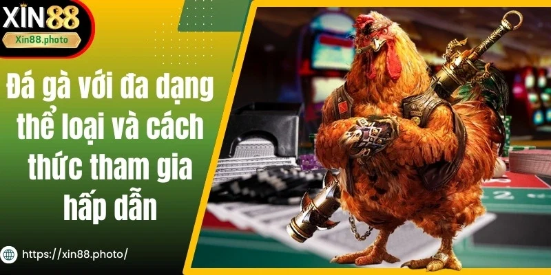 Đá gà với đa dạng thể loại và cách thức tham gia hấp dẫn