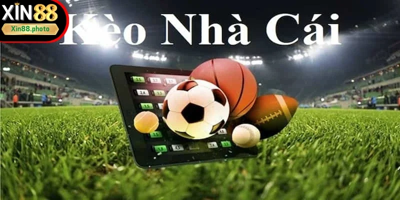 Kèo nhà cái XIN88 có hệ thống chuyên nghiệp