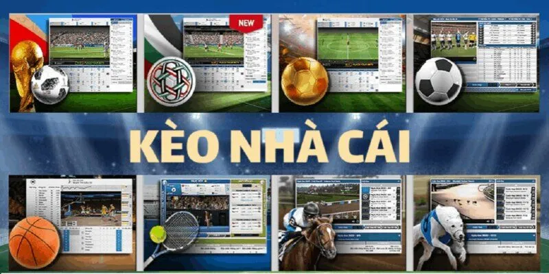 Trước khi xuống tiền cần nghiên cứu thông tin