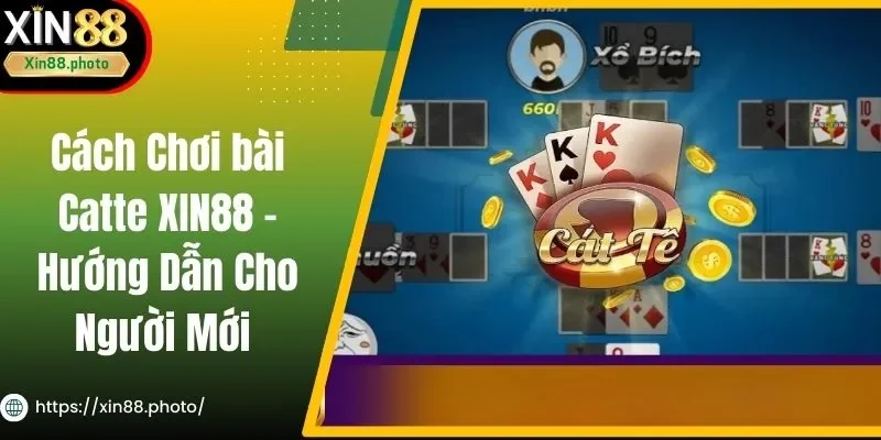 Cách Chơi bài Catte XIN88 - Hướng Dẫn Cho Người Mới