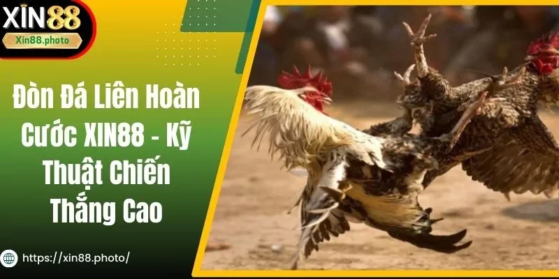 Đòn Đá Liên Hoàn Cước XIN88 - Kỹ Thuật Chiến Thắng Cao