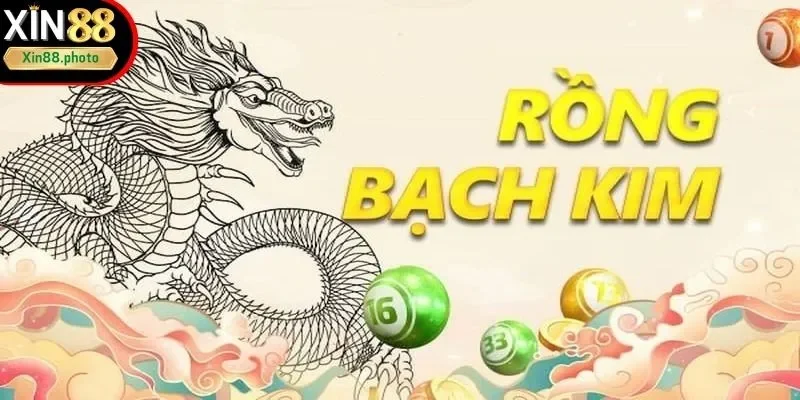 Soi cầu rồng bạch kim và điều cần lưu ý